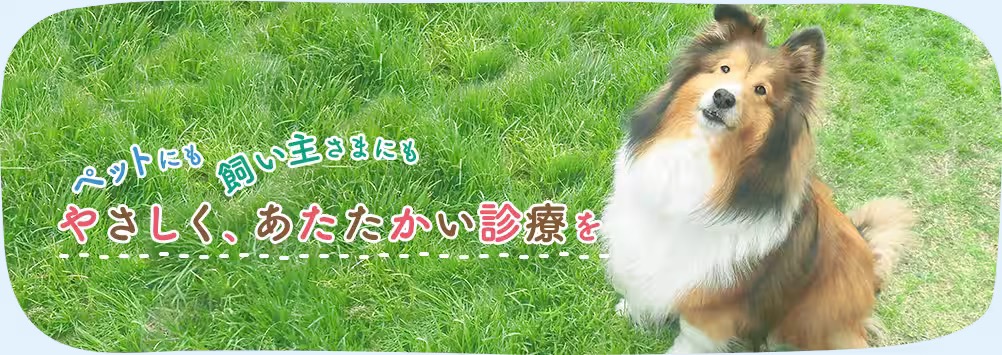 ペットにも飼い主さまにも やさしく、あたたかい診療を